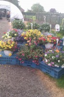 /album/photos/hortiseba2-jpg/