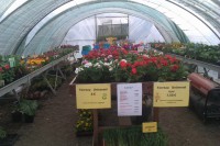 /album/photos/hortiseba5-jpg/